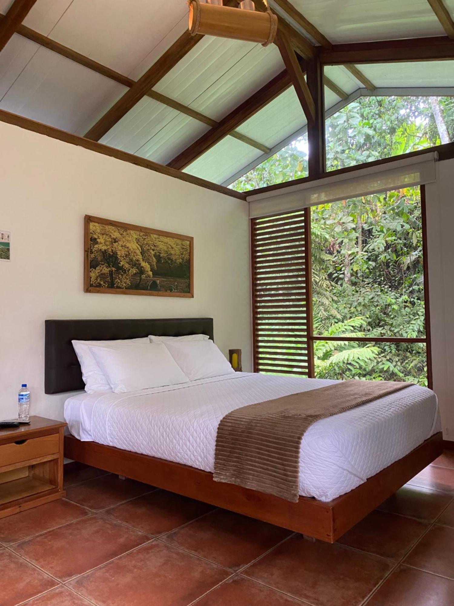 Cielo Verde Lodge Mashpi Εξωτερικό φωτογραφία